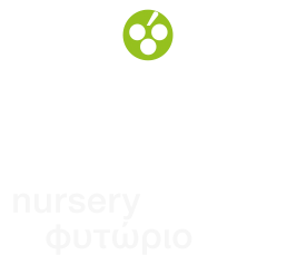 dougos nursery